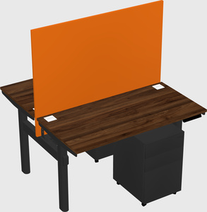 Shared electric desk