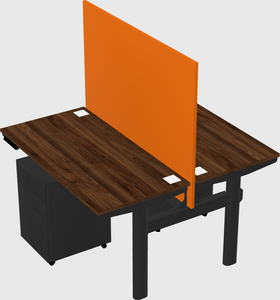 Shared electric desk
