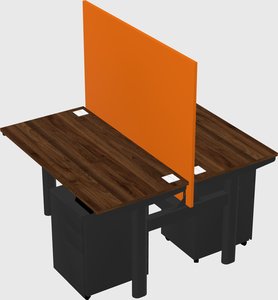 Shared electric desk