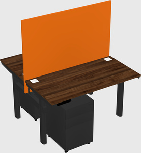 Shared electric desk