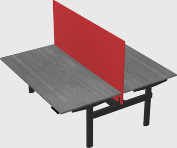 Shared electric desk