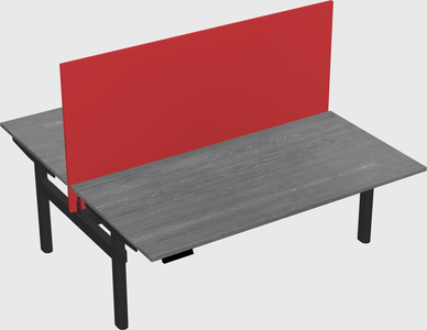 Shared electric desk
