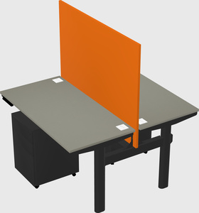 Shared electric desk