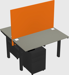 Shared electric desk