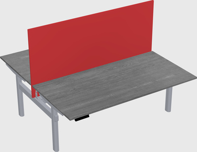Shared electric desk