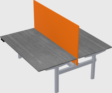 Shared electric desk
