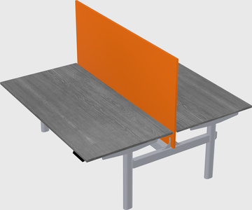 Shared electric desk