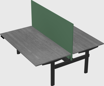 Shared electric desk