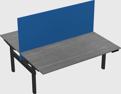 Shared electric desk