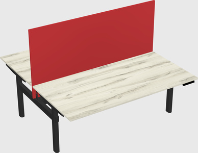 Shared electric desk