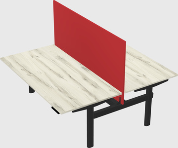Shared electric desk