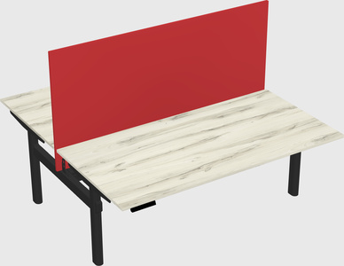 Shared electric desk