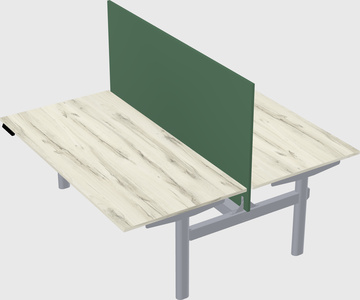 Shared electric desk