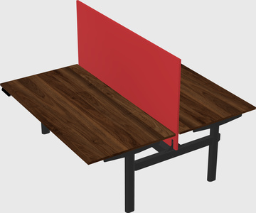 Shared electric desk