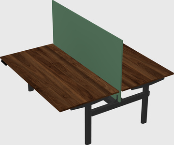 Shared electric desk