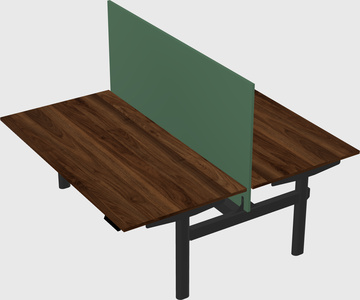 Shared electric desk
