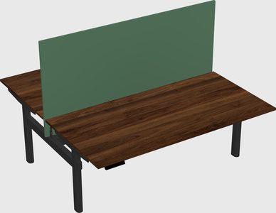 Shared electric desk