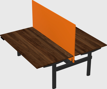 Shared electric desk