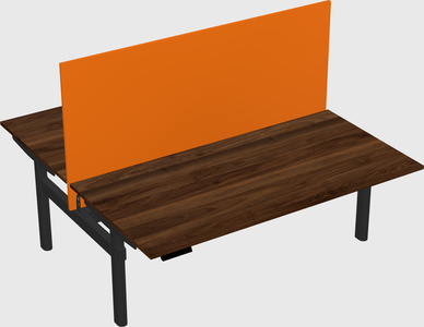 Shared electric desk
