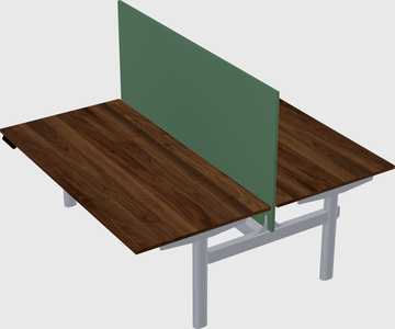 Shared electric desk