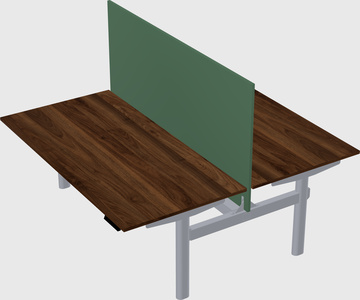 Shared electric desk