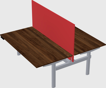 Shared electric desk