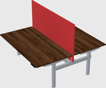 Shared electric desk