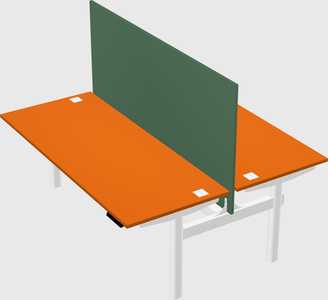 Shared electric desk