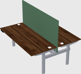 Shared electric desk