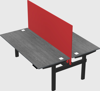 Shared electric desk
