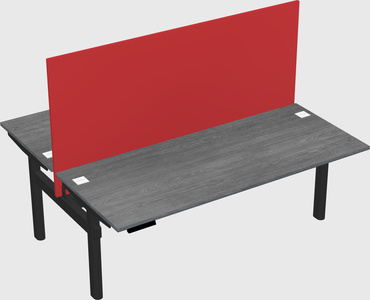 Shared electric desk