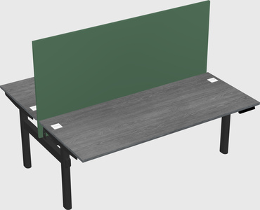 Shared electric desk