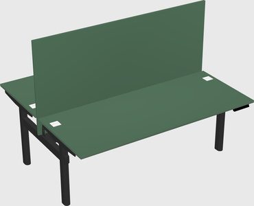 Shared electric desk