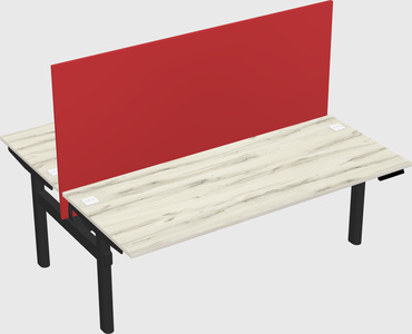 Shared electric desk