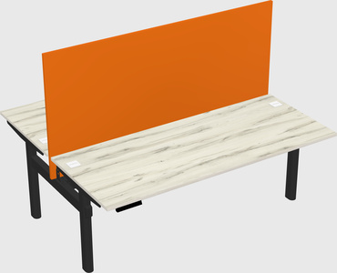Shared electric desk