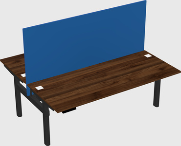 Shared electric desk