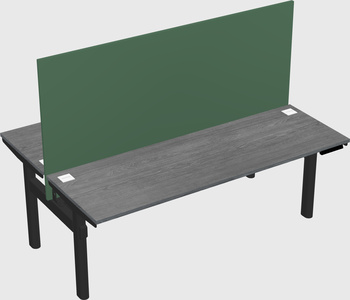 Shared electric desk