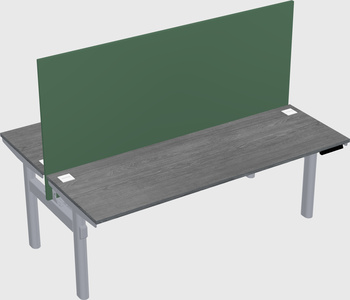 Shared electric desk