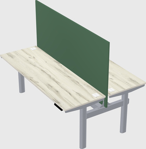 Shared electric desk