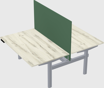 Shared electric desk