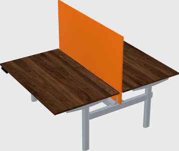 Shared electric desk