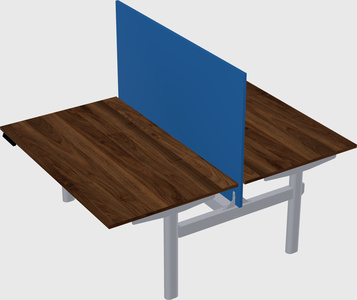 Shared electric desk