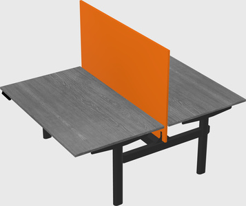 Shared electric desk