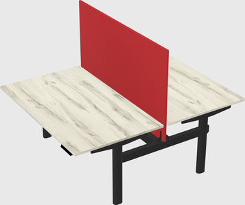 Shared electric desk