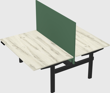 Shared electric desk