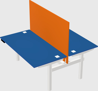 Shared electric desk