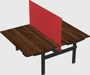 Shared electric desk