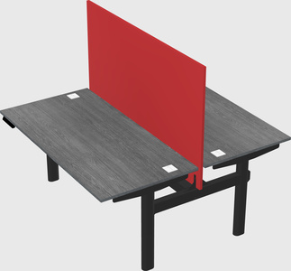 Shared electric desk