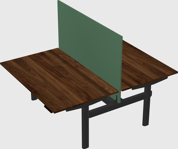 Shared electric desk