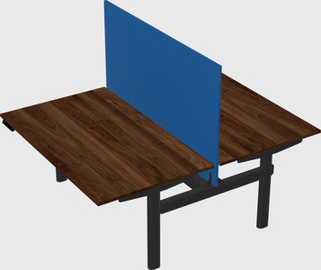 Shared electric desk